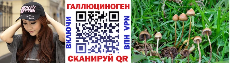 магазин наркотиков Выкса Галлюциногенные грибы прущие грибы